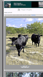 Mobile Screenshot of lonestardigital.com